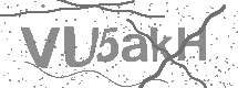 visual captcha